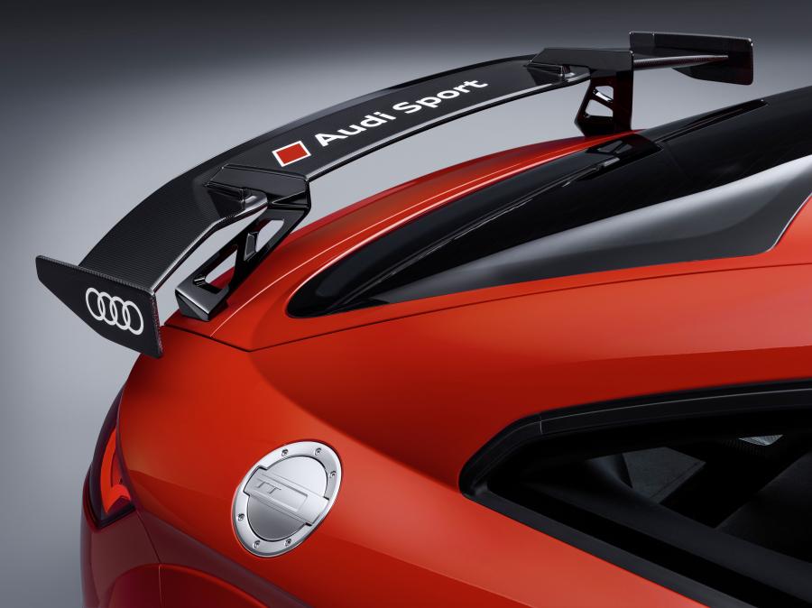 Детали экстерьера Audi TT RS Coupe Performance Parts (8S) 2017 года  (WW) (фото 14 из 16)